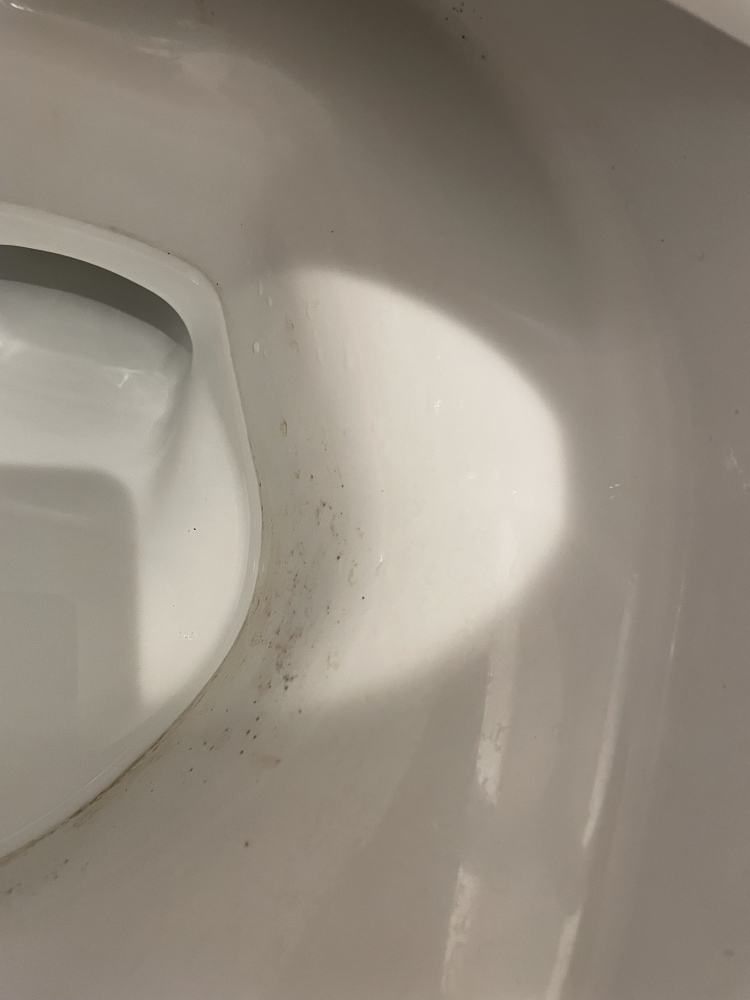 千葉県市川市のトイレクリーニングの作業前1