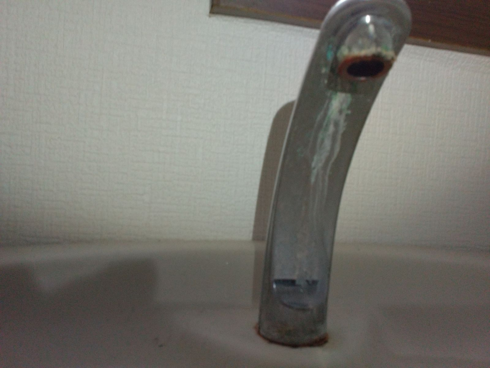 千葉県鎌ケ谷市のトイレクリーニングの作業前1