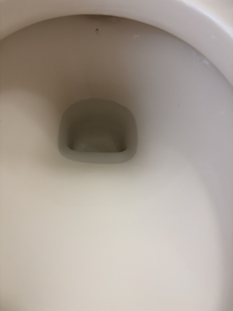 千葉県市川市のトイレクリーニングの作業後1