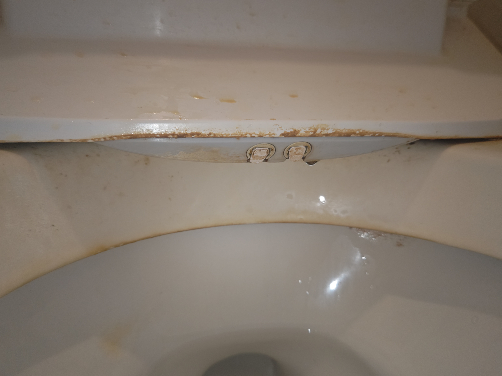東京都新宿区富久町のトイレクリーニングの作業前3