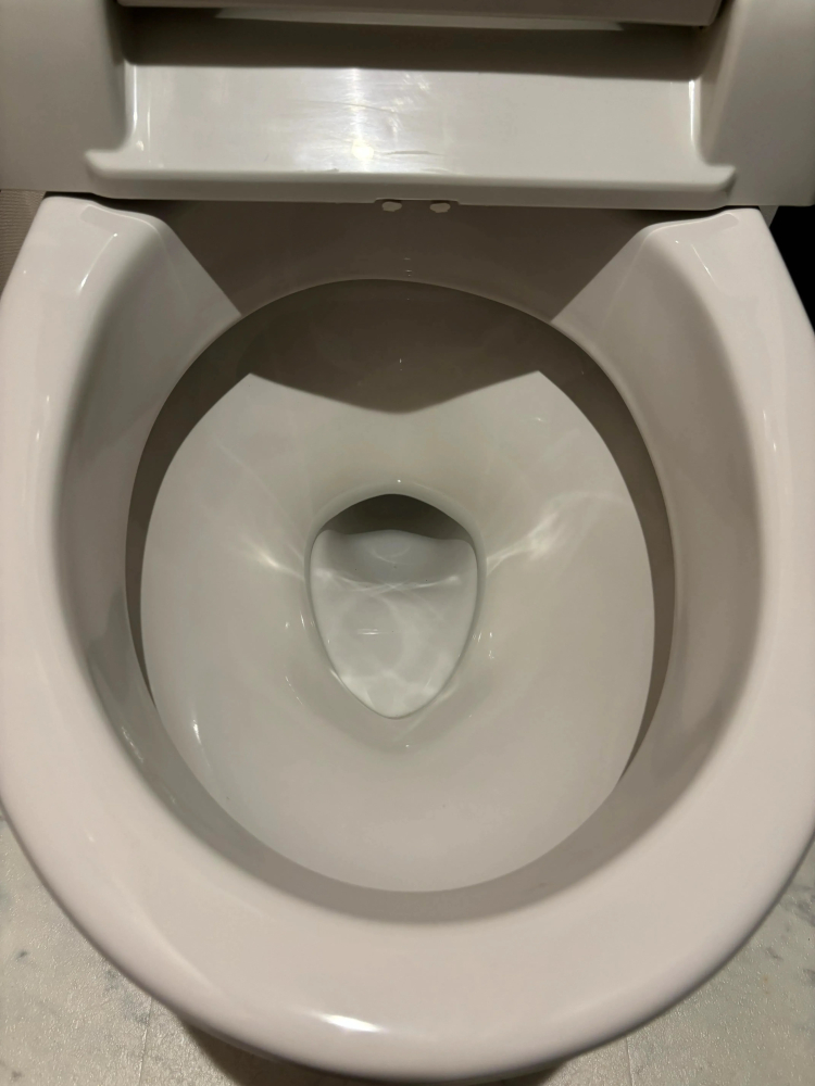 東京都八王子市のトイレクリーニングの作業前1