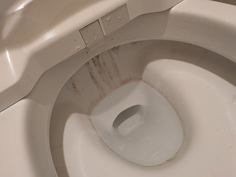 東京都品川区旗の台のトイレクリーニングの作業前1