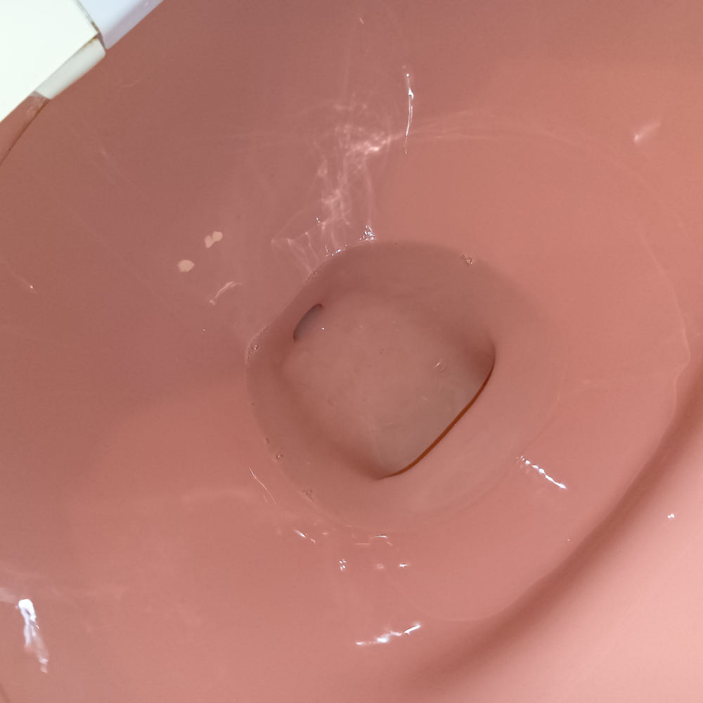 埼玉県川口市のトイレクリーニングの作業後1