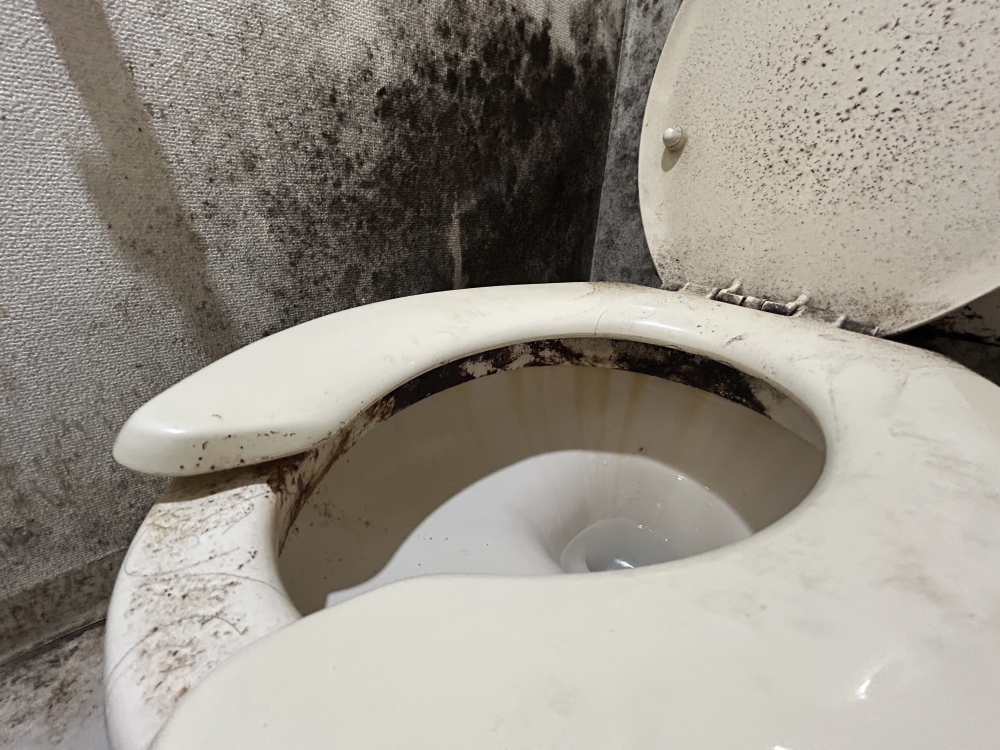 北海道札幌市手稲区手稲本町のトイレクリーニングの作業前2