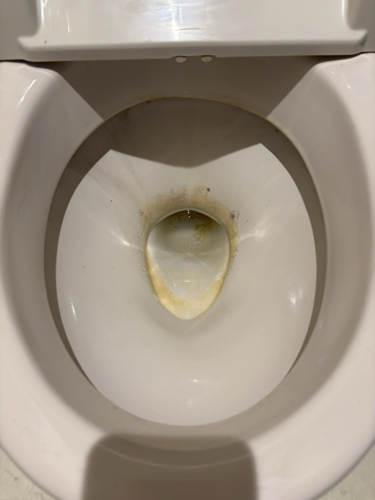 東京都八王子市のトイレクリーニングの作業前1