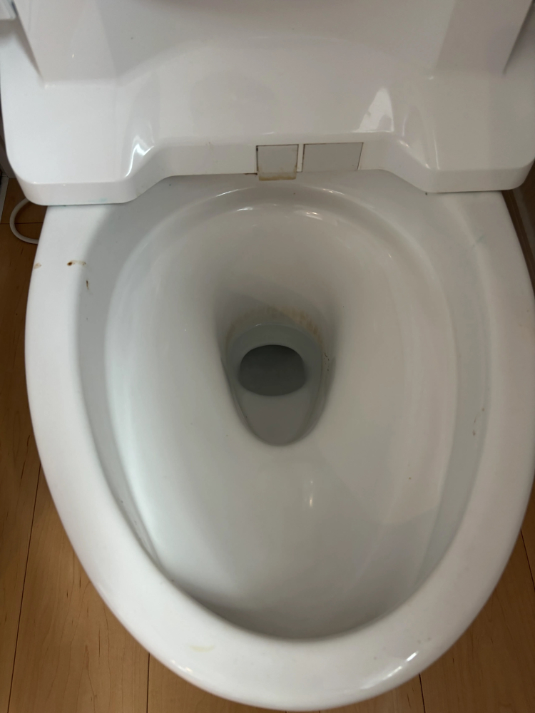 東京都調布市のトイレクリーニングの作業前1