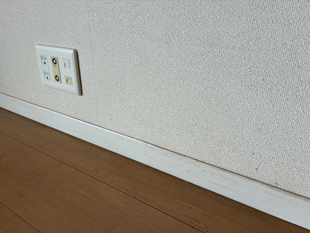 茨城県龍ケ崎市白羽の相続住宅の売却前徹底クリーニングの作業前2