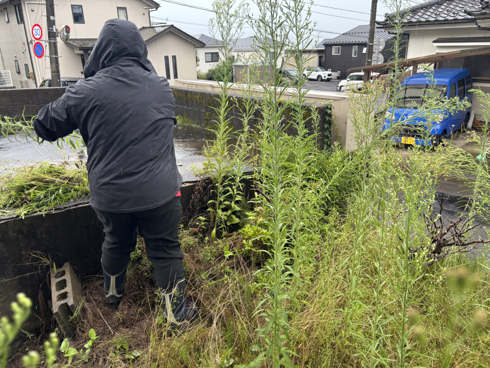 宮城県仙台市太白区八木山本町の何でもわがまま定額サービスの作業前2