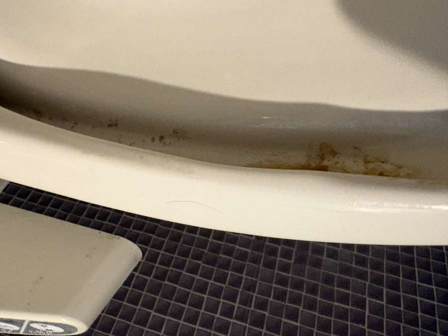 静岡県焼津市のトイレクリーニングの作業前2