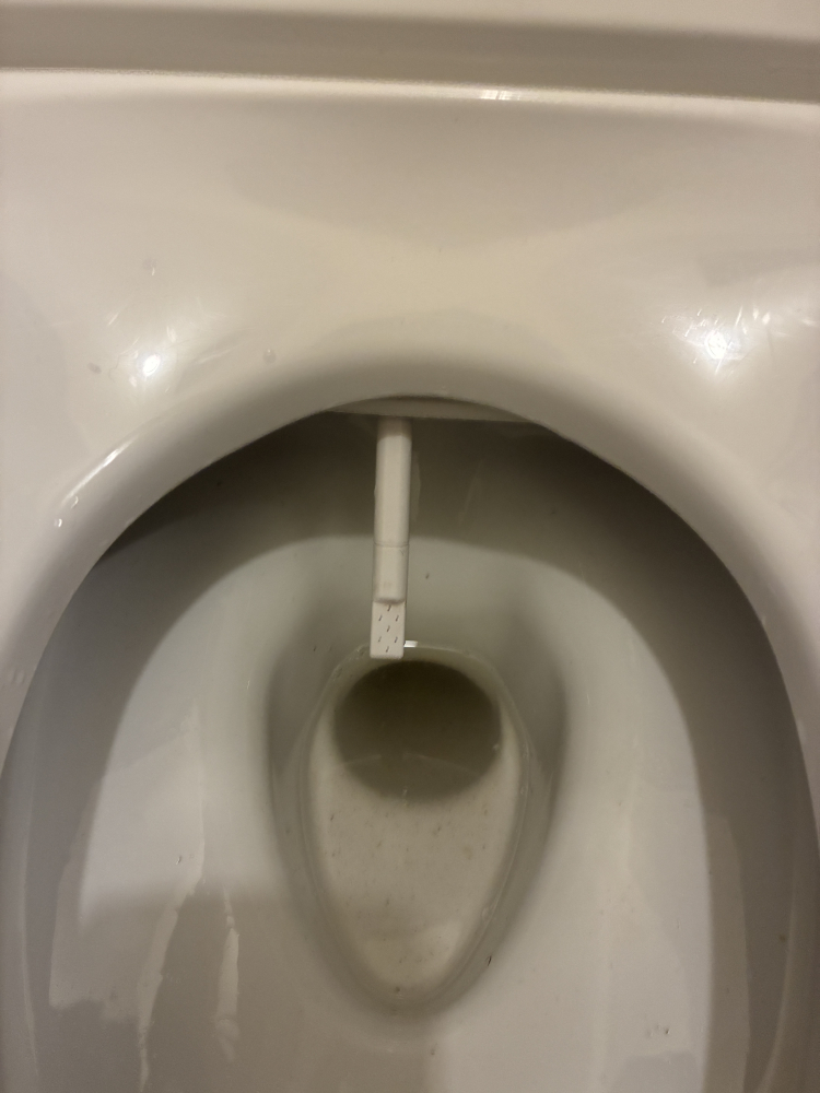 愛知県名古屋市中区のトイレクリーニングの作業後2