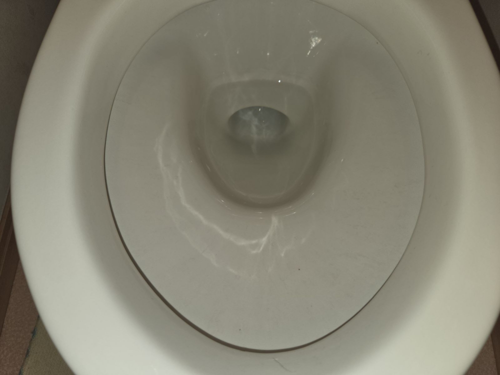 大阪府大阪狭山市のトイレクリーニングの作業前2