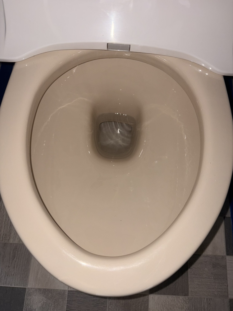 茨城県水戸市のトイレクリーニングの作業後1