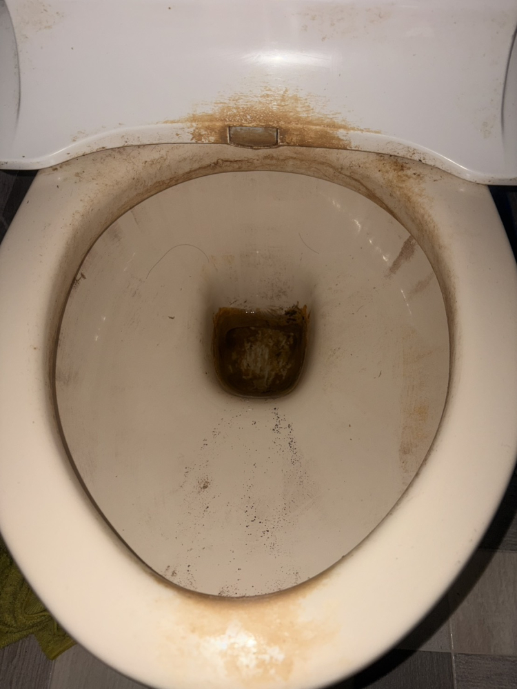 茨城県水戸市のトイレクリーニングの作業前1