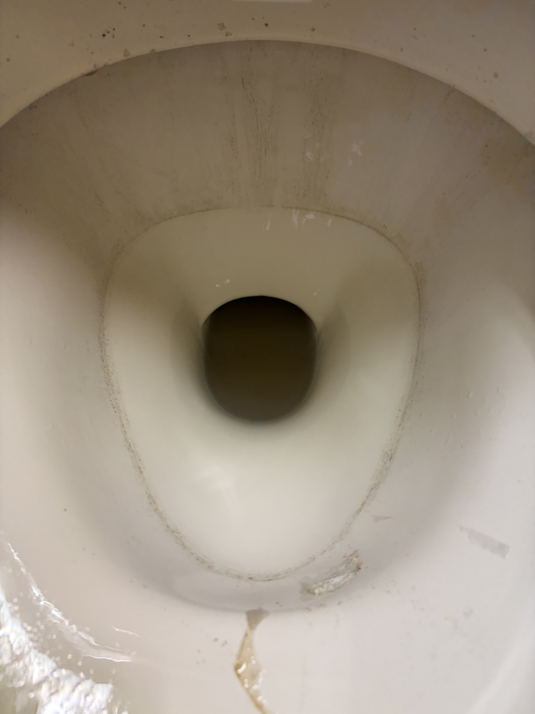 埼玉県比企郡川島町八幡のトイレクリーニングの作業前1