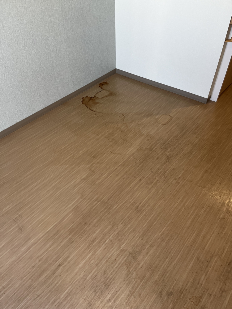埼玉県坂戸市元町の店舗清掃の作業前1