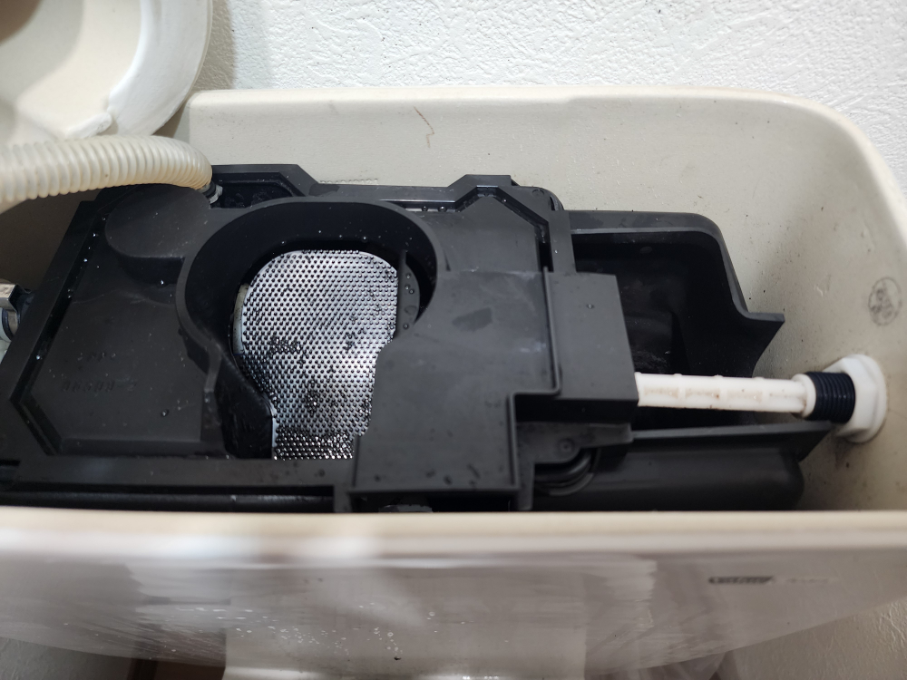 茨城県結城市のトイレクリーニングの作業後1