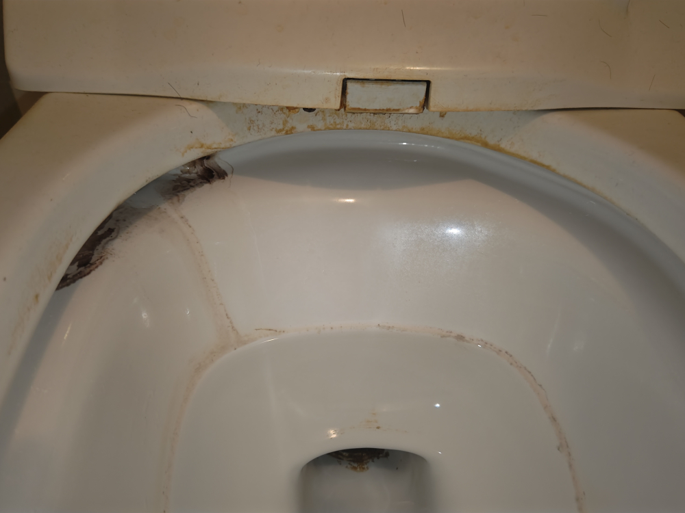 東京都新宿区富久町のトイレクリーニングの作業前1