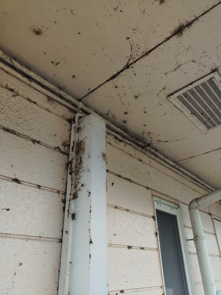 千葉県佐倉市のビル・マンション共用部清掃の作業前1