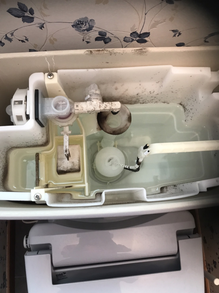 神奈川県平塚市のトイレクリーニングの作業前2