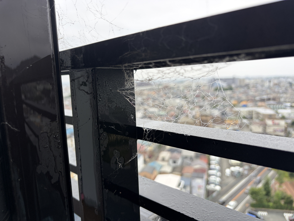 兵庫県川西市火打のベランダ・バルコニークリーニングの作業前3