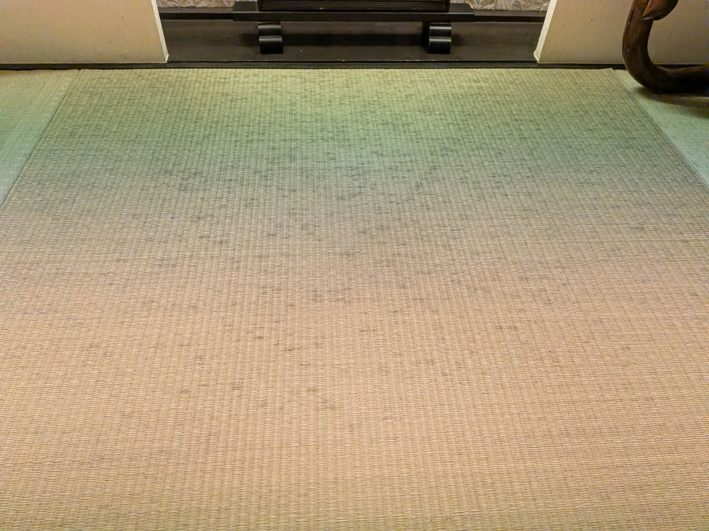 東京都品川区荏原の何でもわがまま定額サービスの作業前1