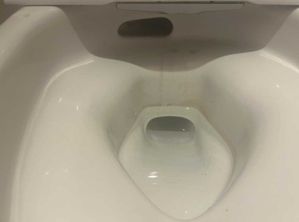 千葉県松戸市根本のトイレクリーニングの作業前2