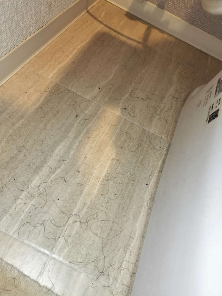 茨城県つくば市のトイレクリーニングの作業前2