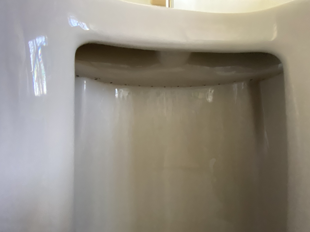 愛知県春日井市坂下町のトイレクリーニングの作業後2