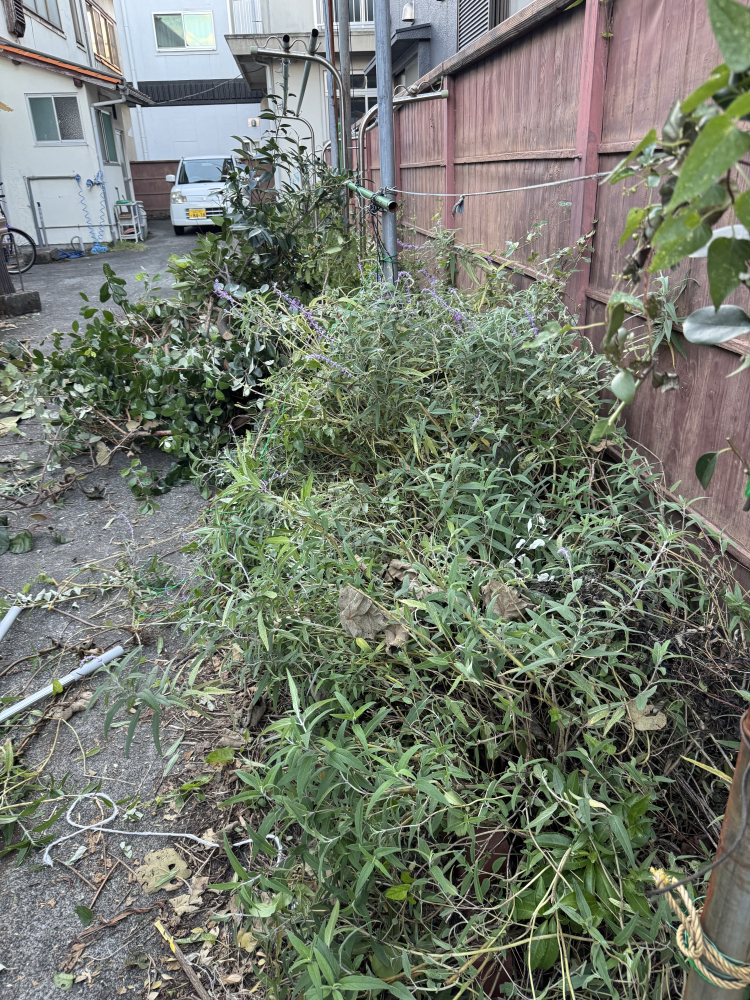 山口県周南市沖見町の家財整理・遺品整理・不用品整理の作業前1