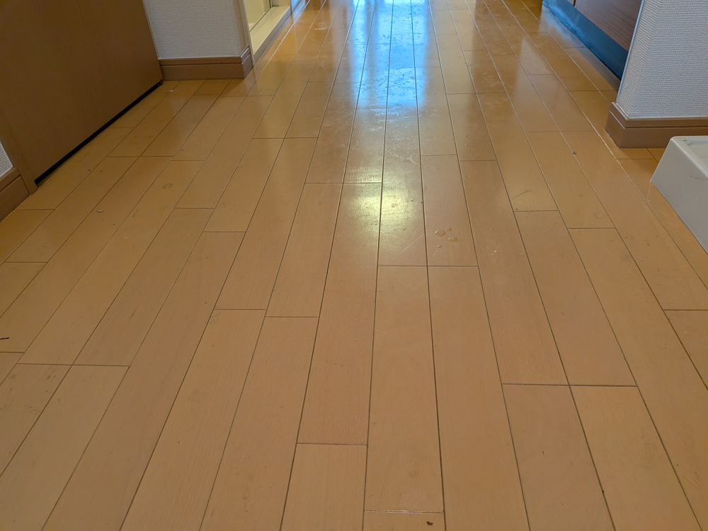 東京都品川区南大井の賃貸住宅退去後の原状回復クリーニングの作業前3
