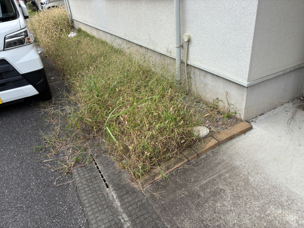 茨城県守谷市の何でもわがまま定額サービスの作業前1