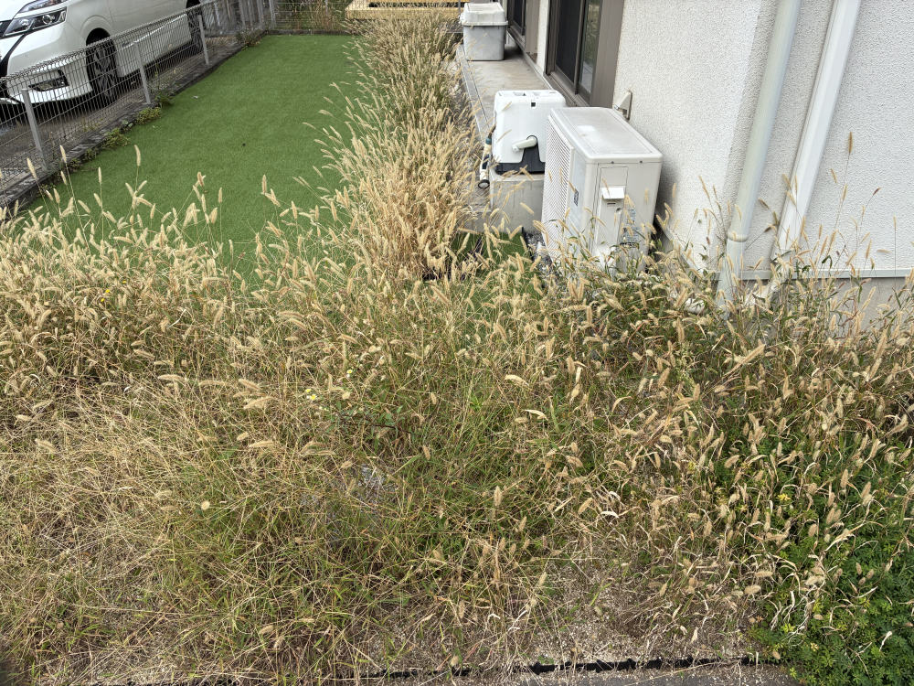 茨城県守谷市の何でもわがまま定額サービスの作業前2
