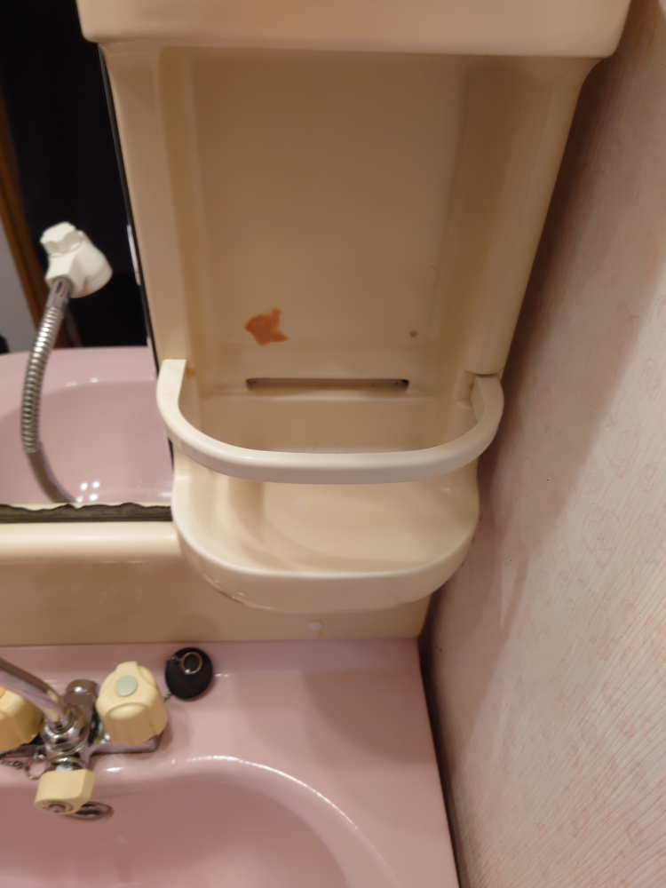 千葉県木更津市畑沢の洗面所クリーニングの作業後3