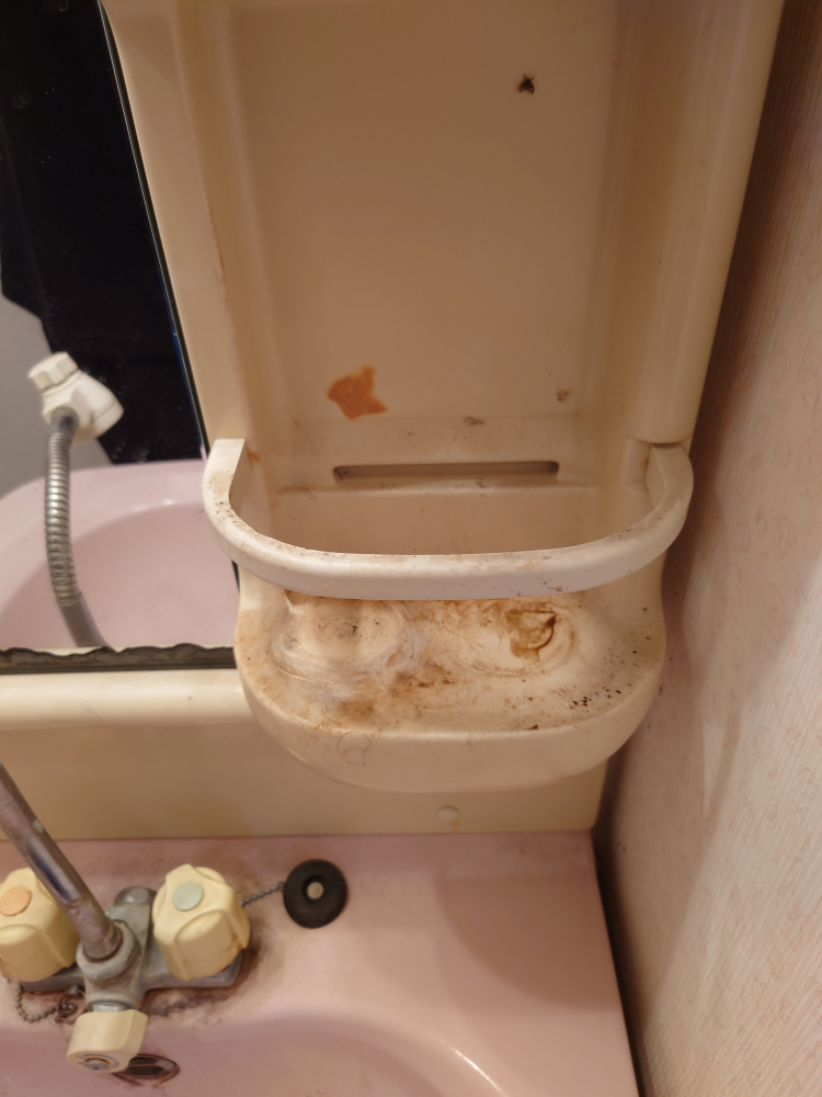 千葉県木更津市畑沢の洗面所クリーニングの作業前3