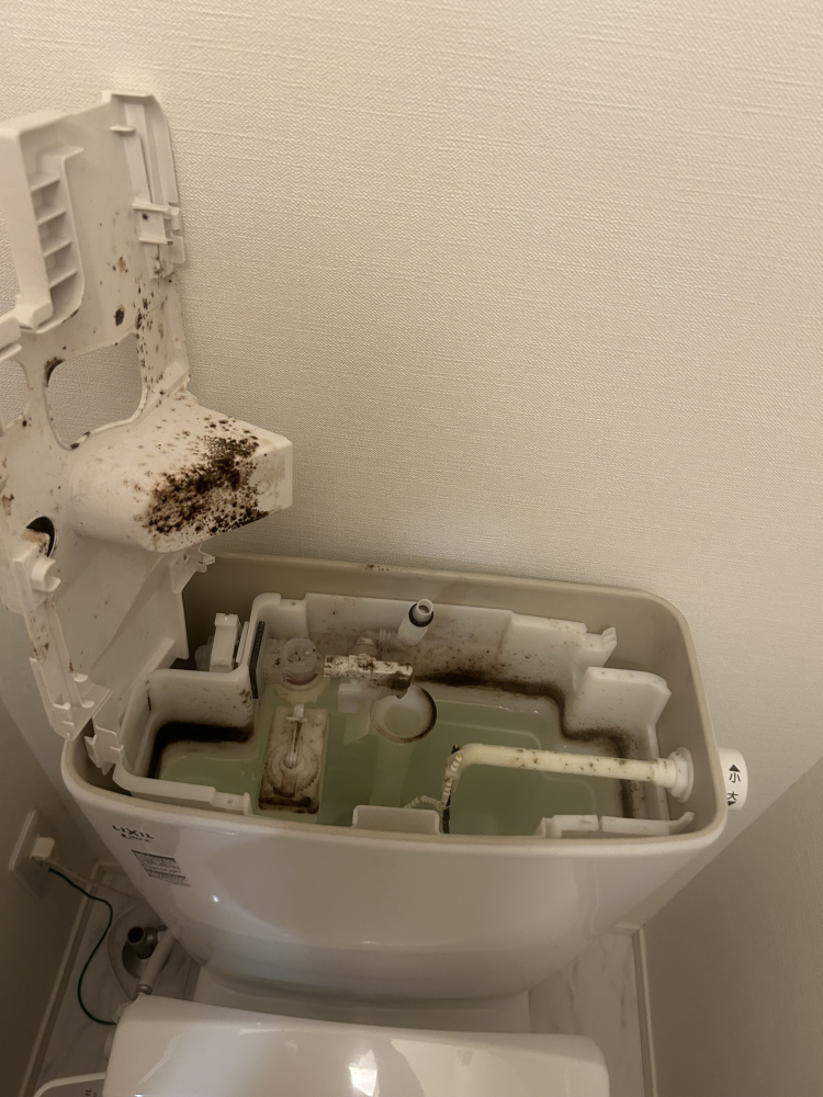 東京都足立区保木間のトイレクリーニングの作業前1