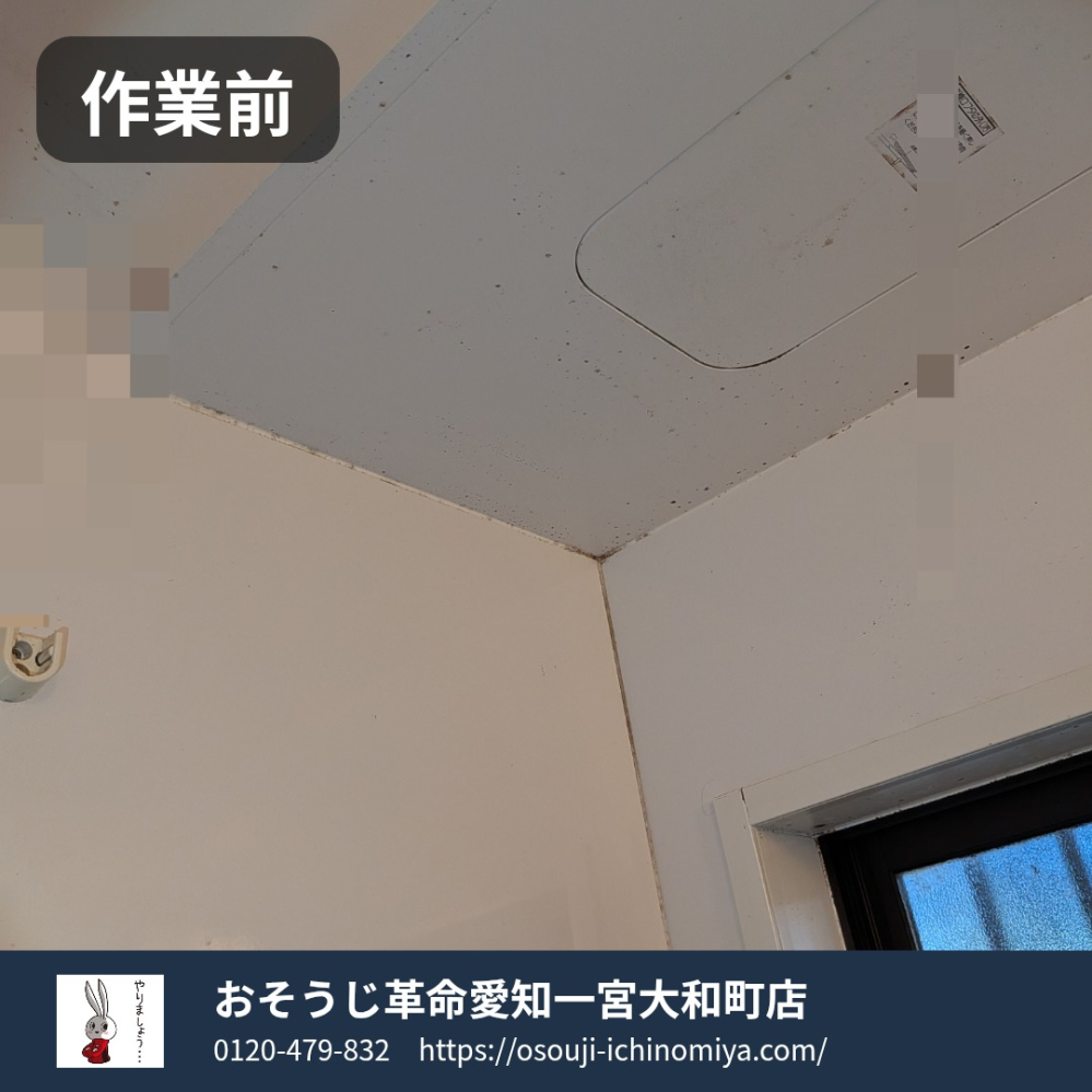 愛知県一宮市上祖父江の浴室・お風呂クリーニングの作業前2