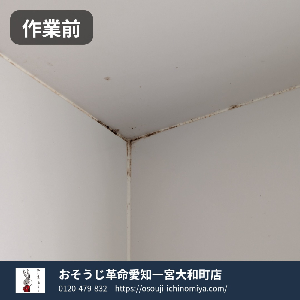 岐阜県岐阜市の浴室・お風呂クリーニングの作業前1