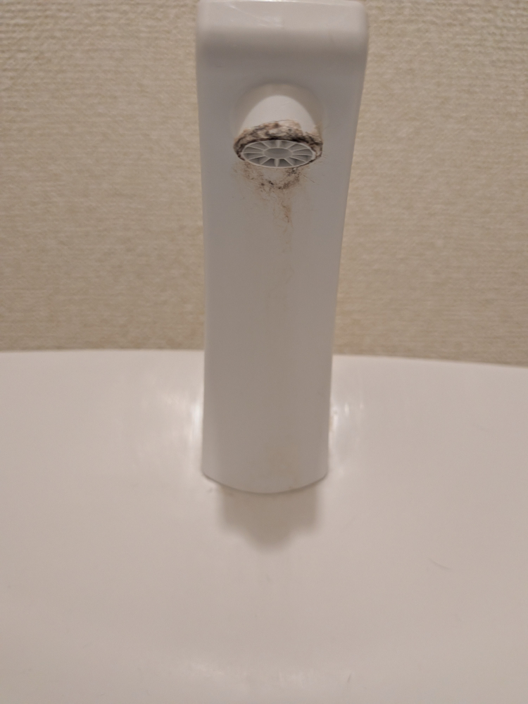 埼玉県深谷市のトイレクリーニングの作業前1