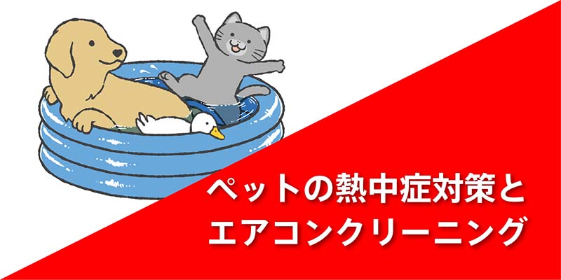 ペットの熱中症対策とエアコンクリーニングについて