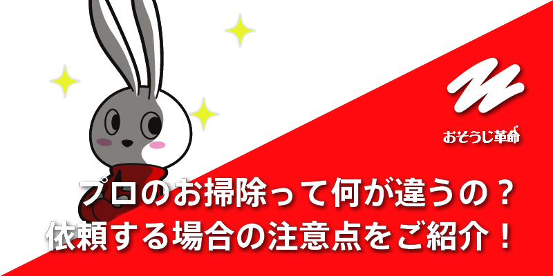 プロのお掃除って何が違うの？プロの清掃クオリティと、ハウスクリーニングを依頼する場合の注意点をご紹介！