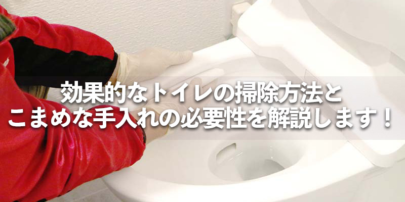 効果的なトイレの掃除方法とこまめな手入れの必要性を解説します！