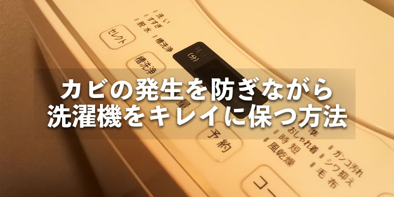 カビの発生を防ぎながら洗濯機をキレイに保つ方法