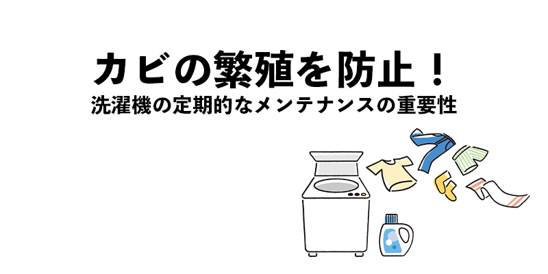 カビの繁殖を防止！洗濯機の定期的なメンテナンスの重要性