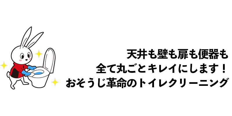 天井も壁も扉も便器も全て丸ごとキレイにします！おそうじ革命のトイレクリーニング    