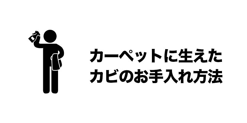 カーペットに生えたカビのお手入れ方法