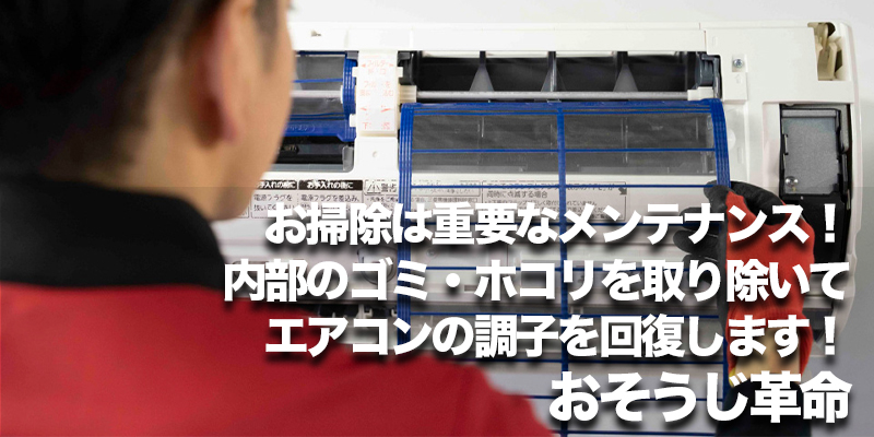 お掃除は重要なメンテナンス！内部のゴミ・ホコリを取り除いてエアコンの調子を回復します！おそうじ革命