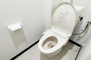 トイレ清掃のイメージ