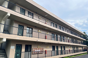 築20年マンション(3階建て)/共用部 約60坪のイメージ