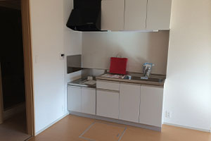 ケース③ 2DKマンション／約50㎡の画像