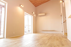 簡易清掃パック(25㎡以上)の画像